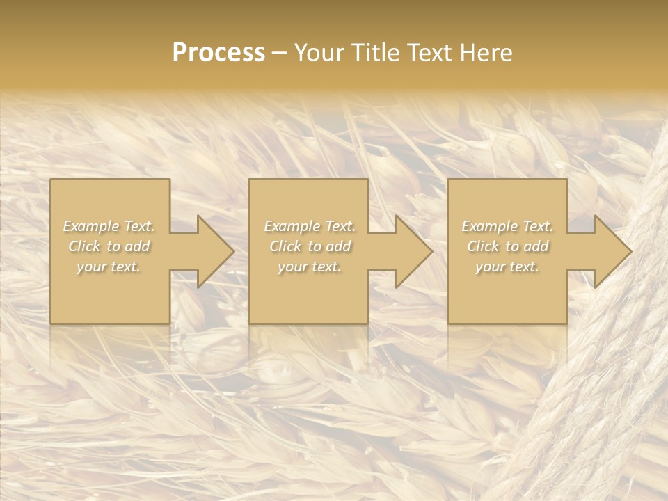 Abstract Whole Ingredient PowerPoint Template