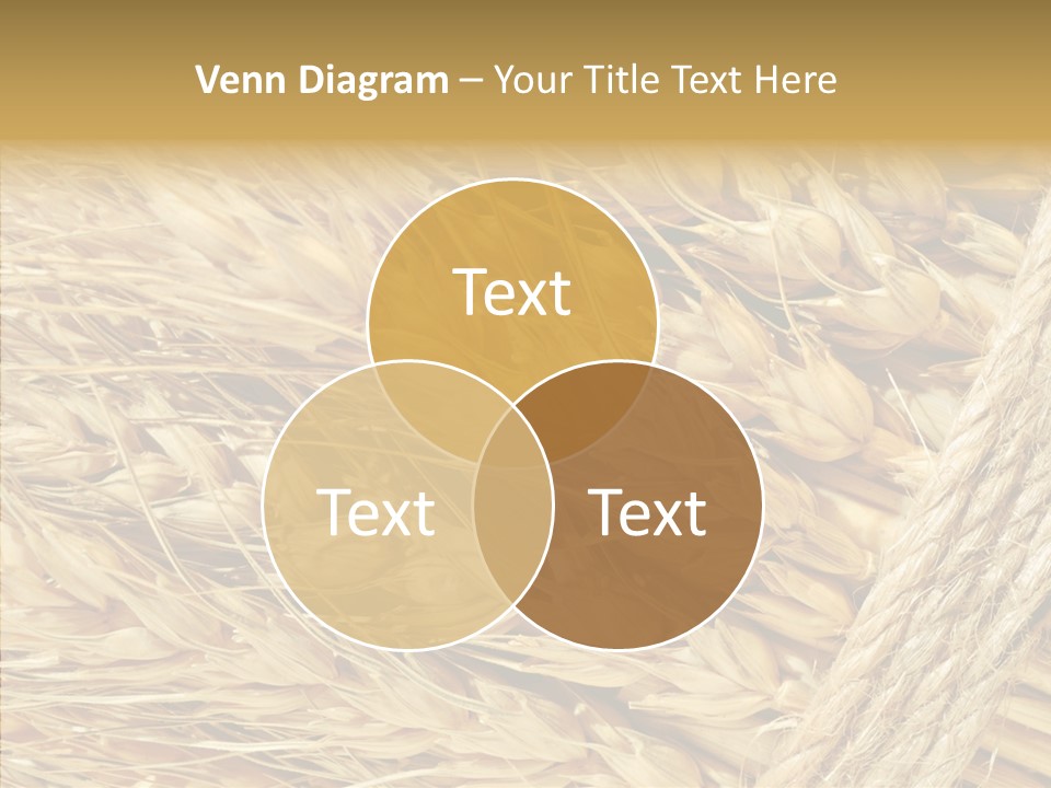 Abstract Whole Ingredient PowerPoint Template