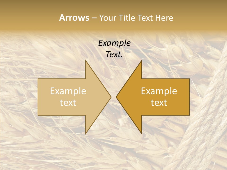 Abstract Whole Ingredient PowerPoint Template