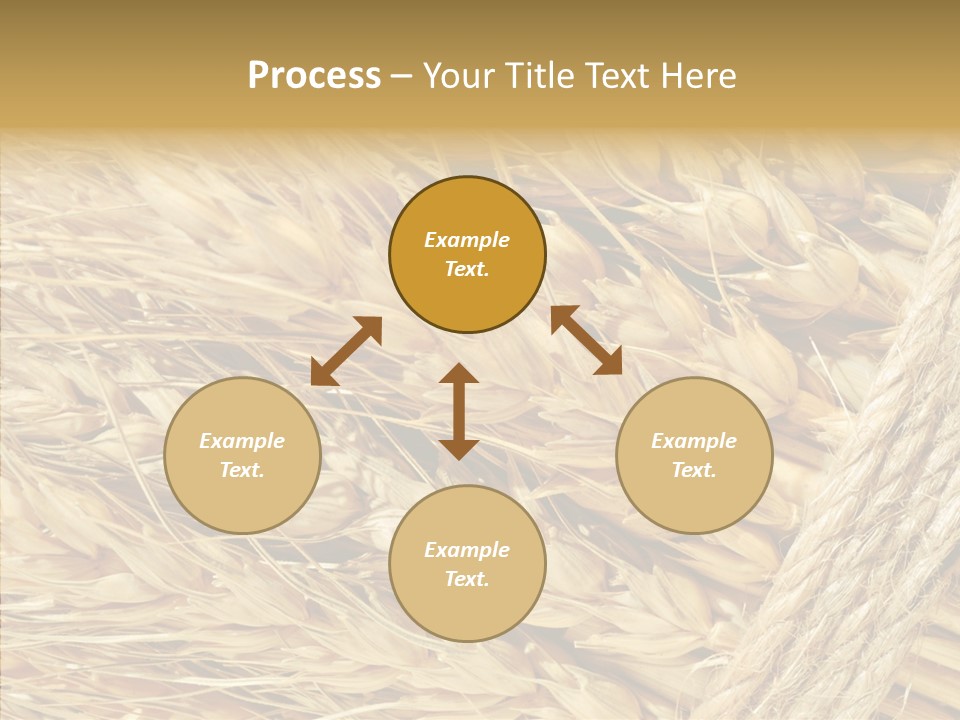 Abstract Whole Ingredient PowerPoint Template