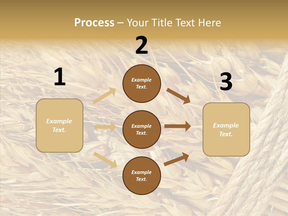 Abstract Whole Ingredient PowerPoint Template
