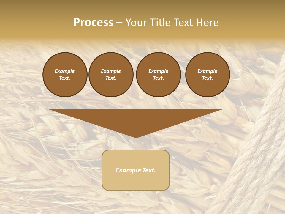 Abstract Whole Ingredient PowerPoint Template
