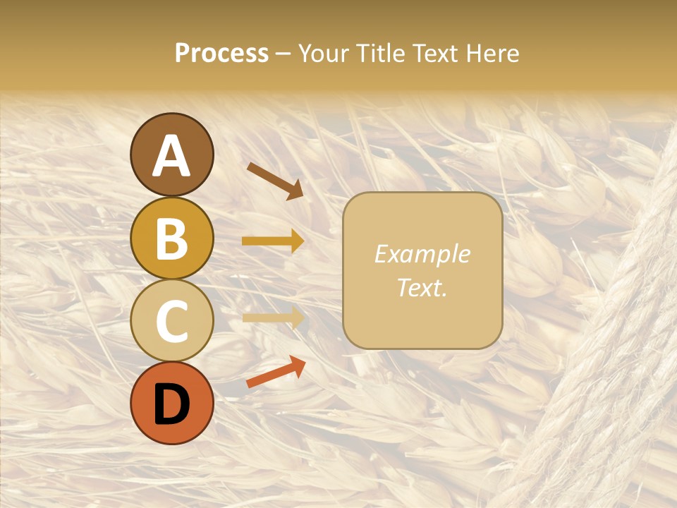 Abstract Whole Ingredient PowerPoint Template