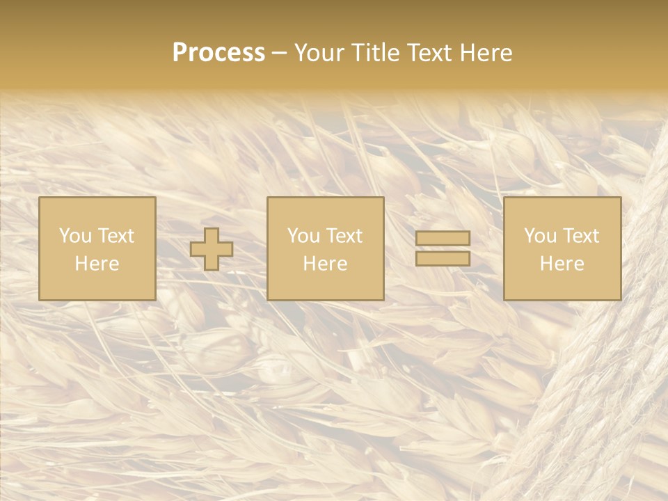 Abstract Whole Ingredient PowerPoint Template