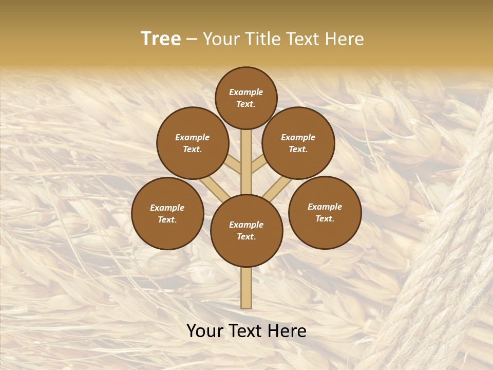 Abstract Whole Ingredient PowerPoint Template