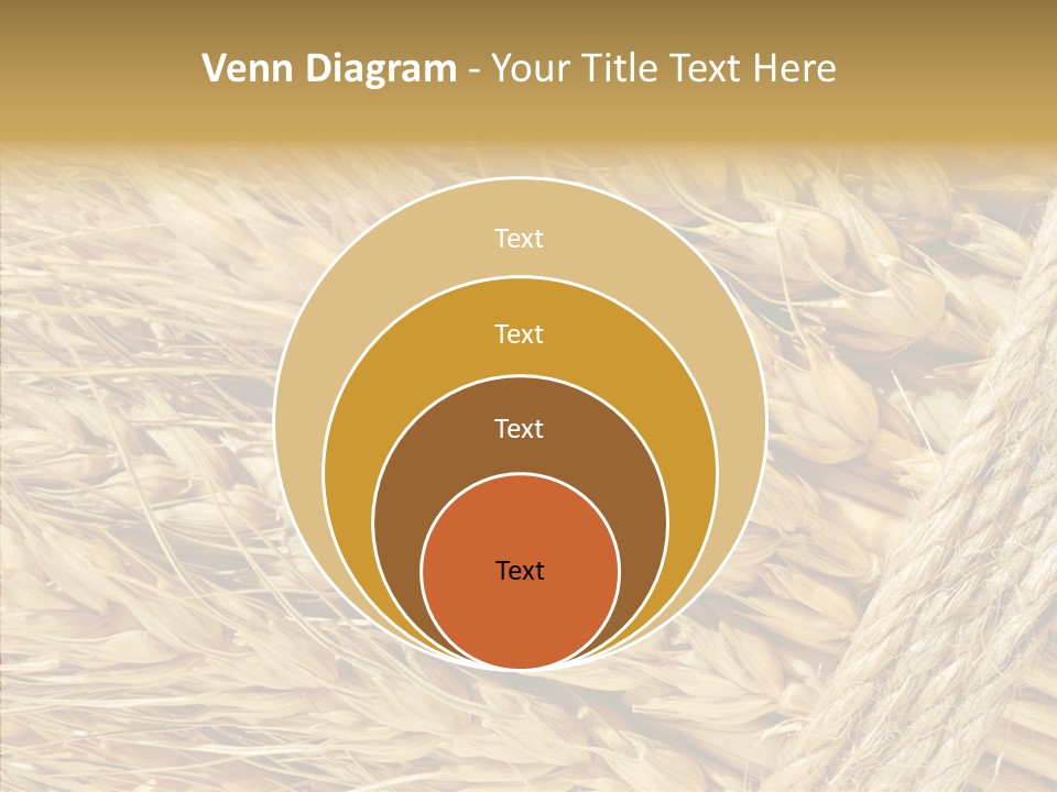 Abstract Whole Ingredient PowerPoint Template