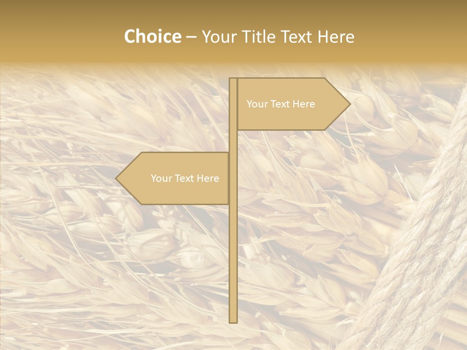 Abstract Whole Ingredient PowerPoint Template