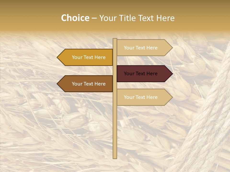 Abstract Whole Ingredient PowerPoint Template