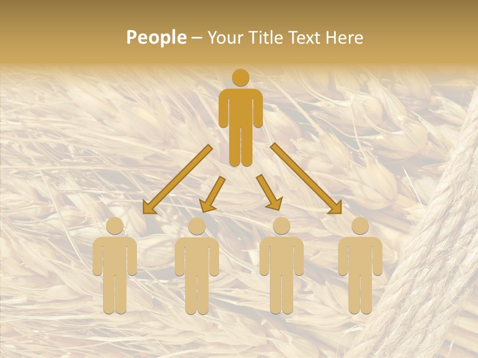 Abstract Whole Ingredient PowerPoint Template