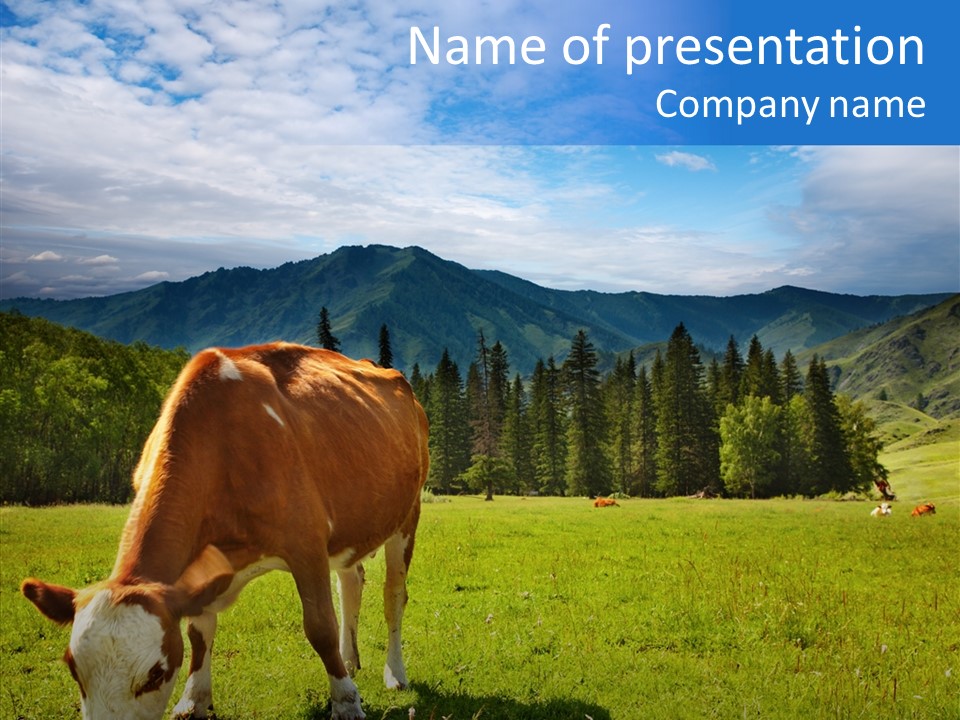 Herd Altai Forest PowerPoint Template