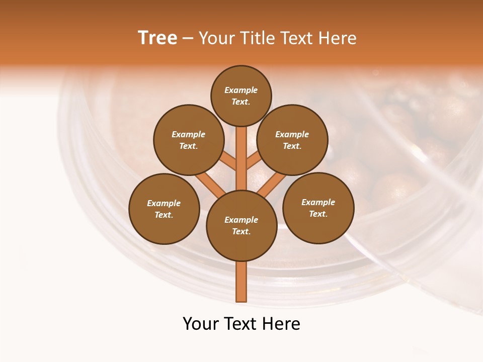 Illuminator Compound Buff PowerPoint Template