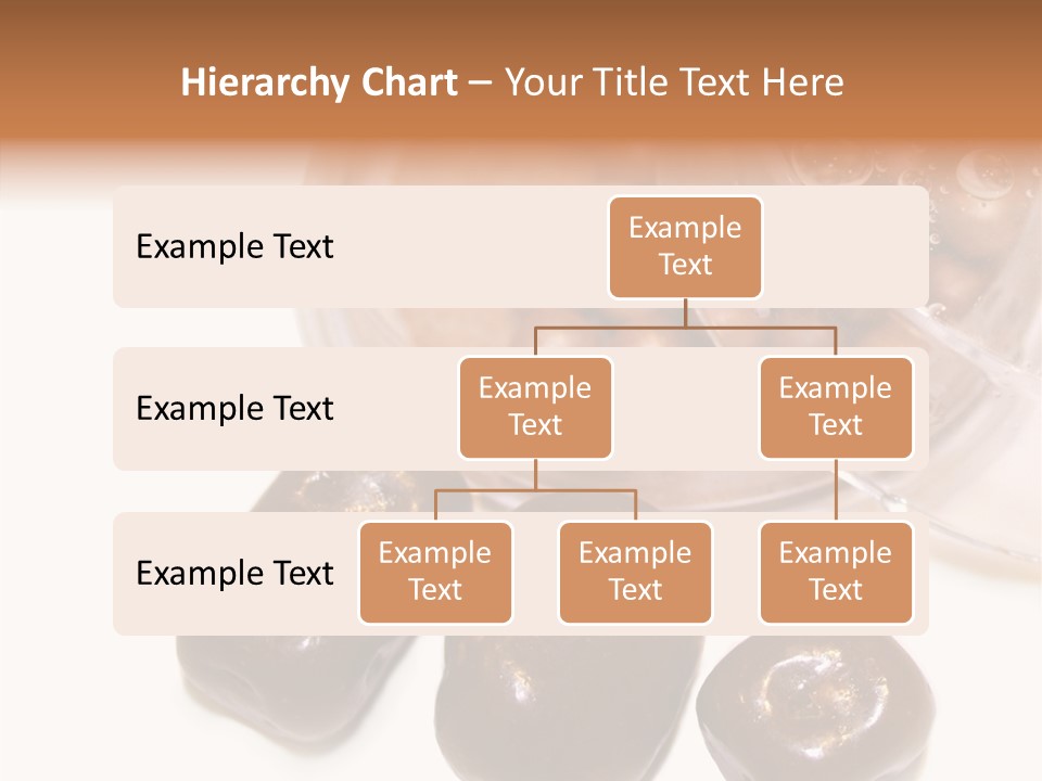 Soft Women Compact PowerPoint Template