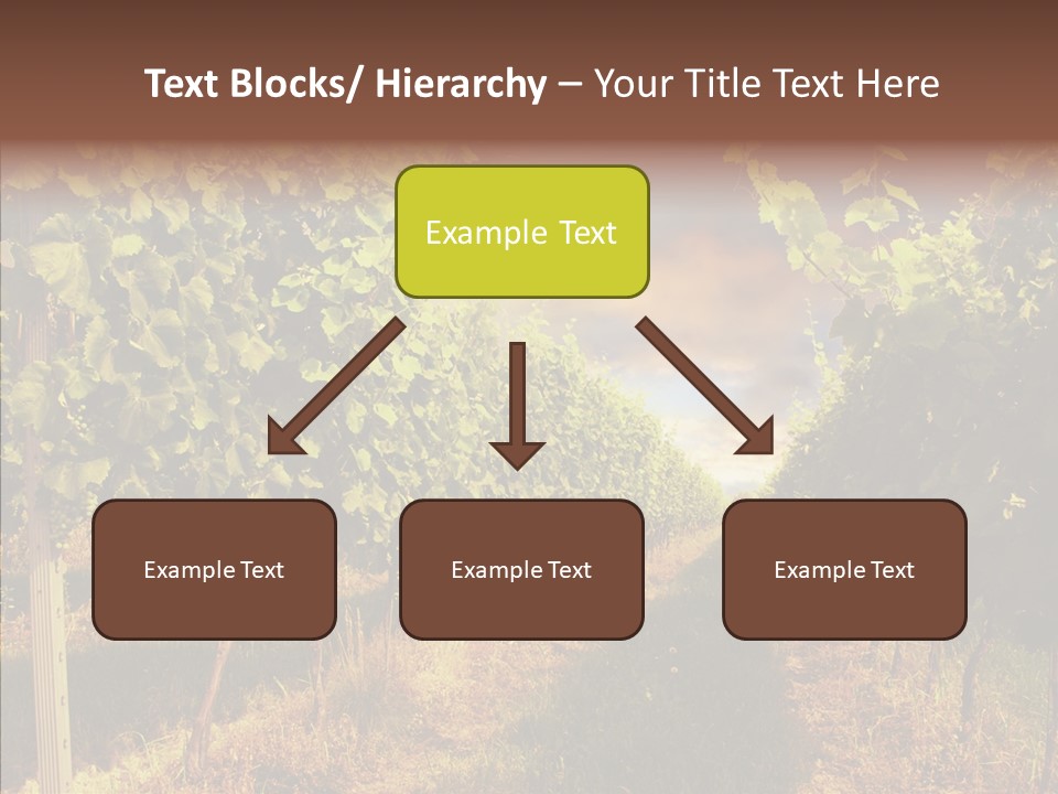 Orange Idea Sun PowerPoint Template