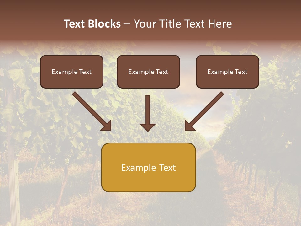Orange Idea Sun PowerPoint Template