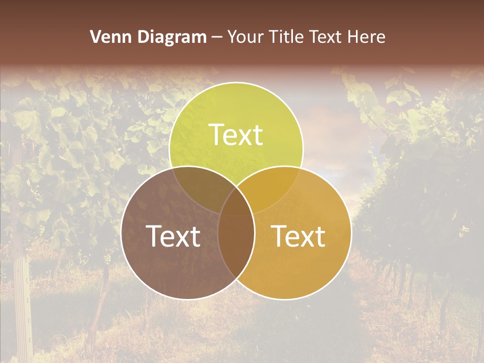 Orange Idea Sun PowerPoint Template