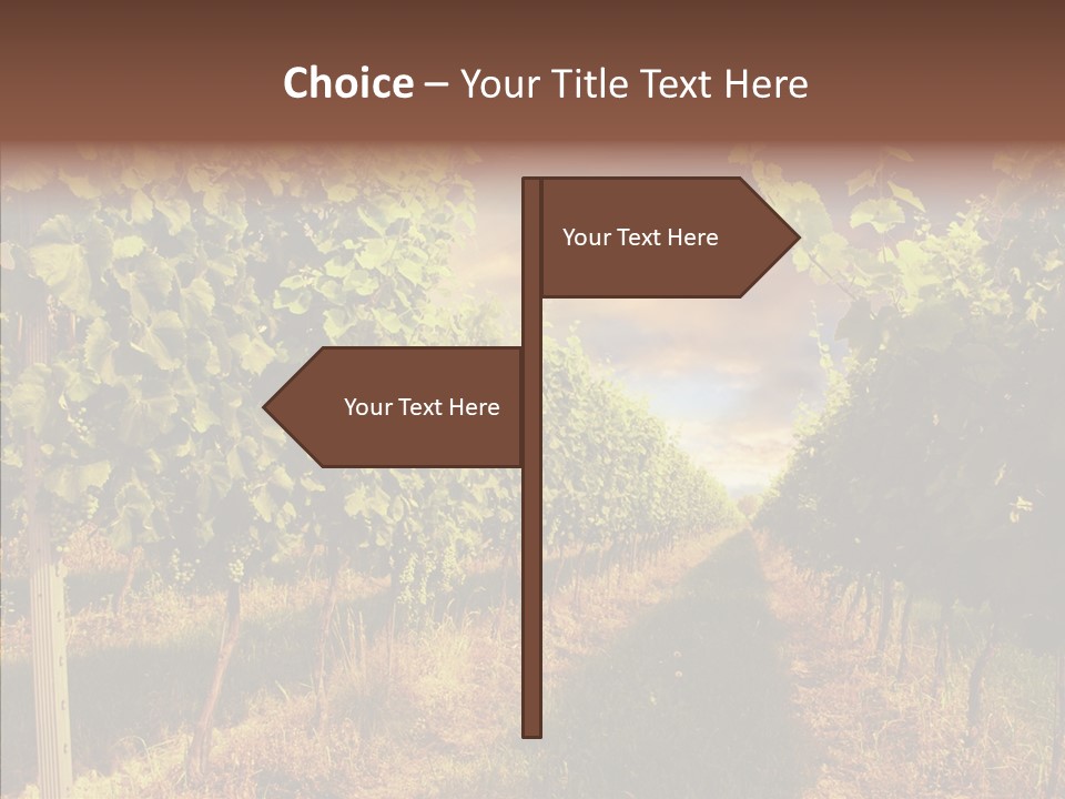 Orange Idea Sun PowerPoint Template