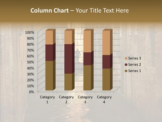 Vintage Stained Gondolier PowerPoint Template