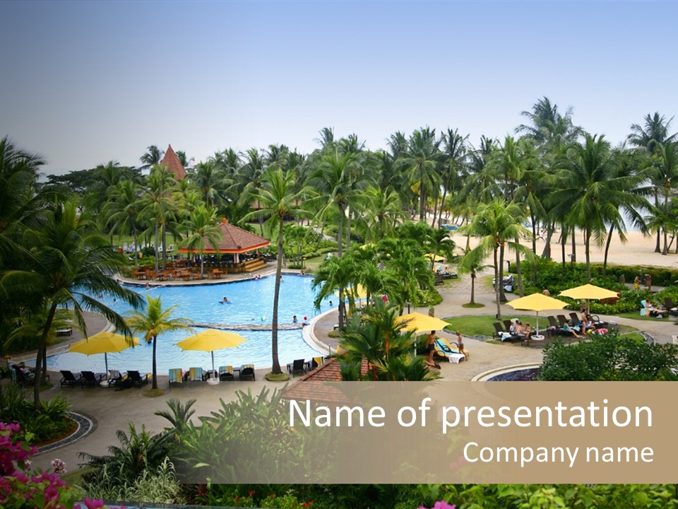 Equator Tree Investment PowerPoint Template