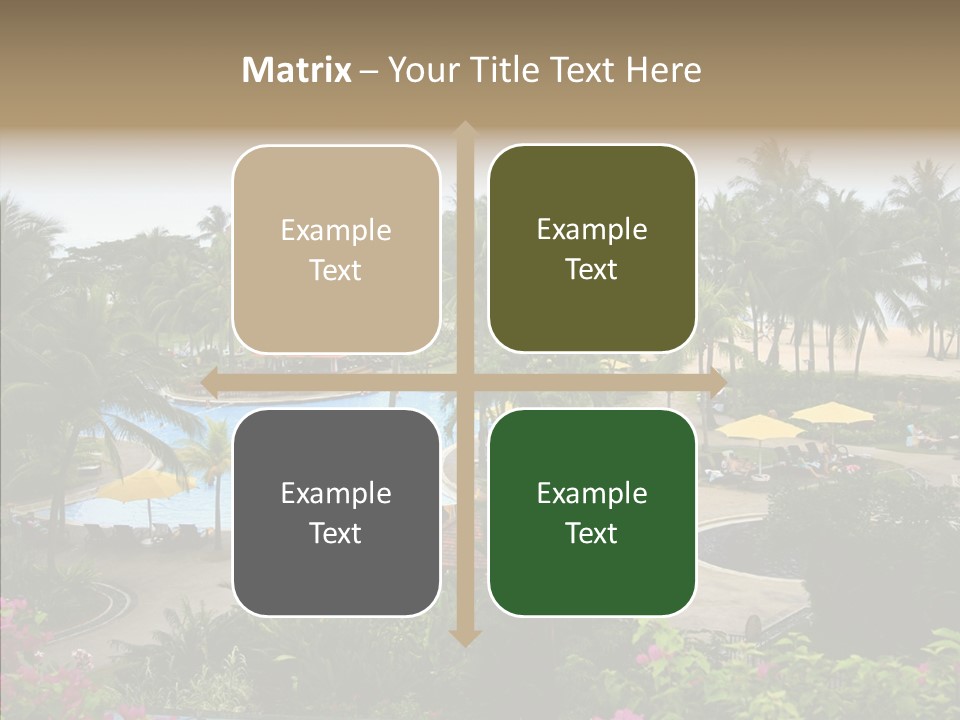 Equator Tree Investment PowerPoint Template