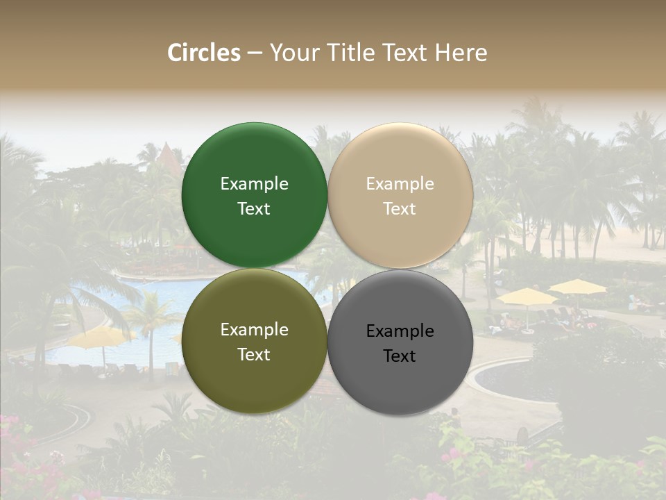 Equator Tree Investment PowerPoint Template
