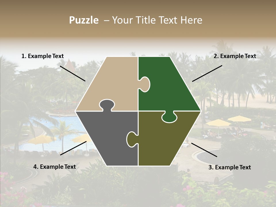 Equator Tree Investment PowerPoint Template