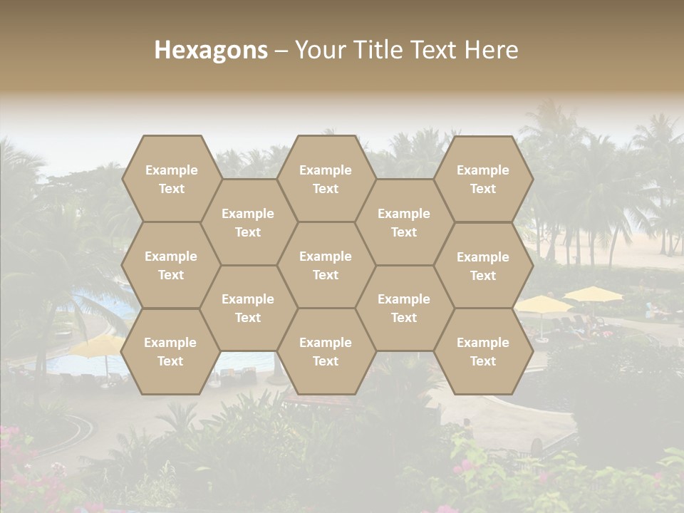 Equator Tree Investment PowerPoint Template