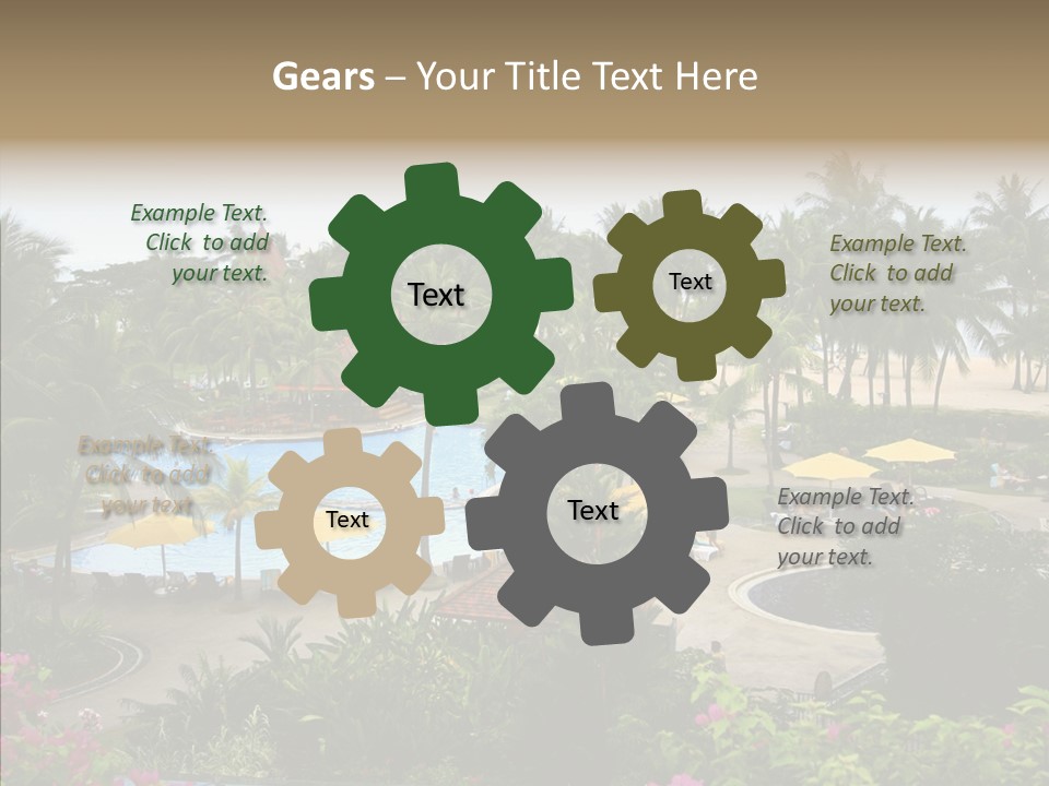 Equator Tree Investment PowerPoint Template