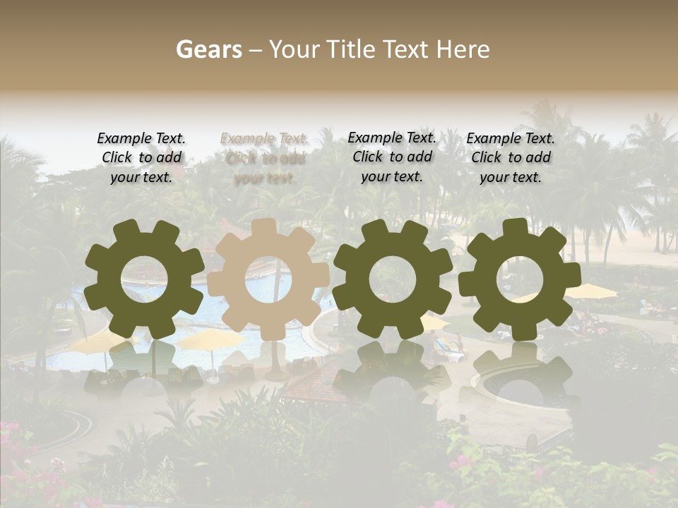 Equator Tree Investment PowerPoint Template