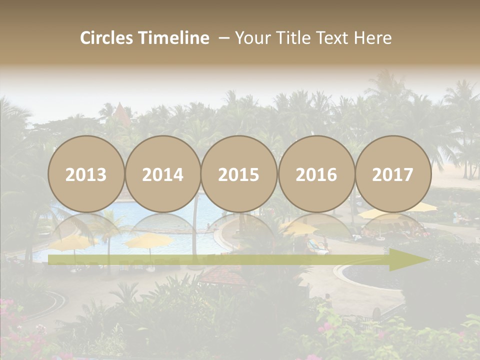 Equator Tree Investment PowerPoint Template