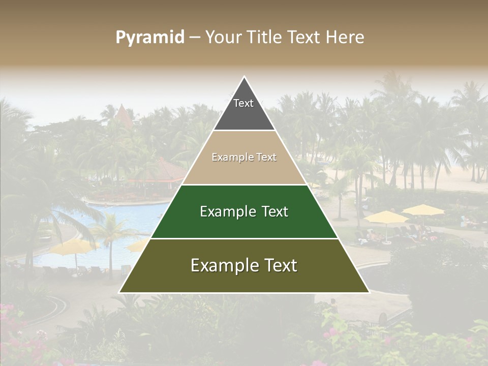Equator Tree Investment PowerPoint Template