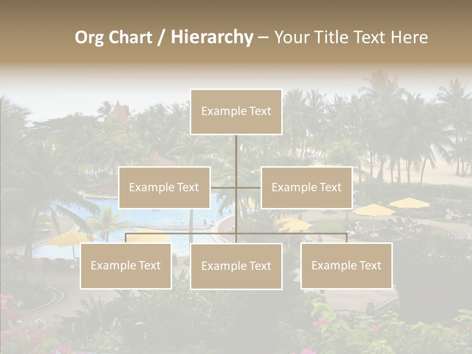 Equator Tree Investment PowerPoint Template