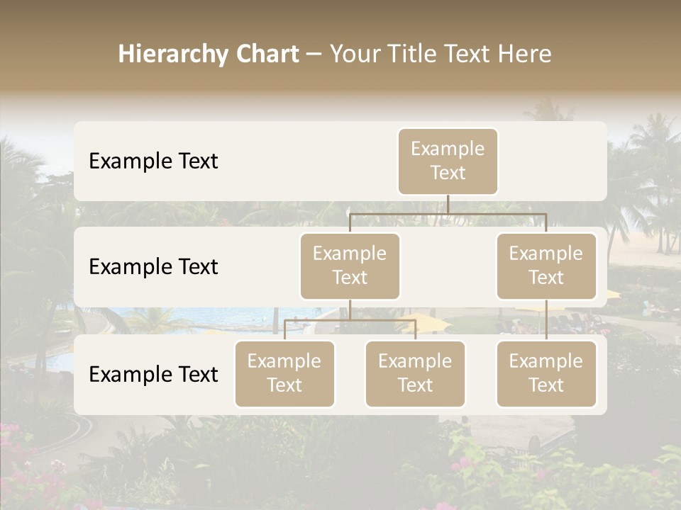 Equator Tree Investment PowerPoint Template