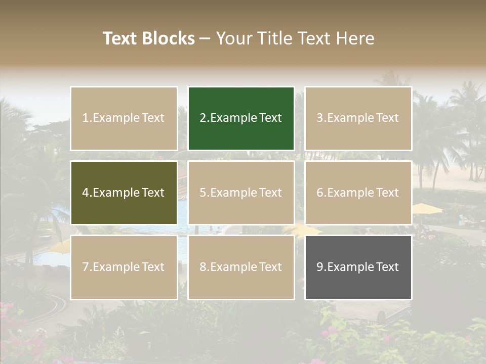 Equator Tree Investment PowerPoint Template