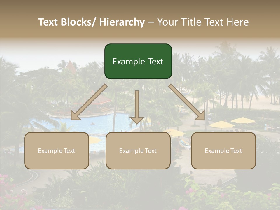 Equator Tree Investment PowerPoint Template