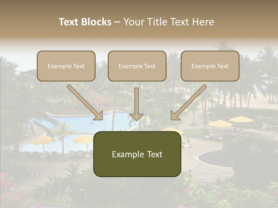 Equator Tree Investment PowerPoint Template