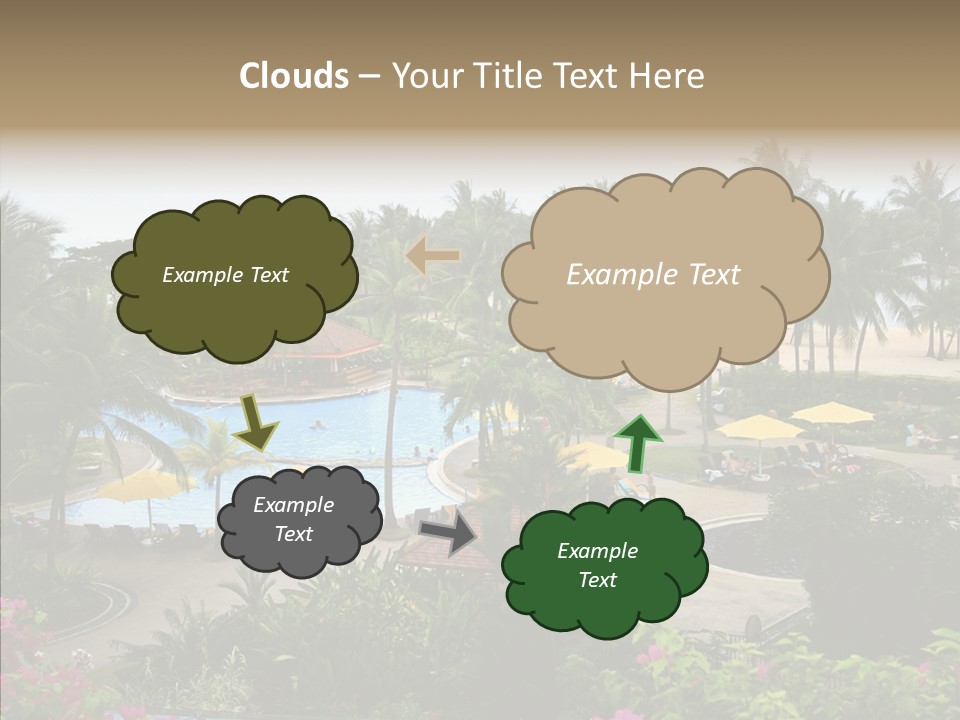 Equator Tree Investment PowerPoint Template