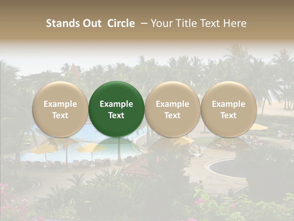 Equator Tree Investment PowerPoint Template