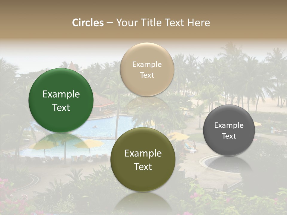 Equator Tree Investment PowerPoint Template
