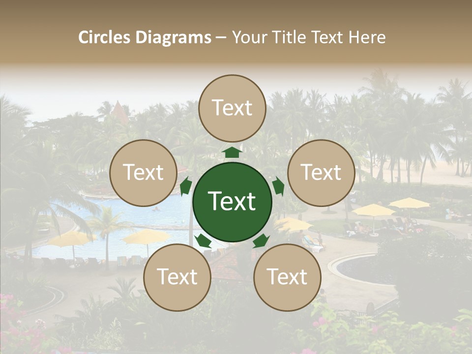 Equator Tree Investment PowerPoint Template