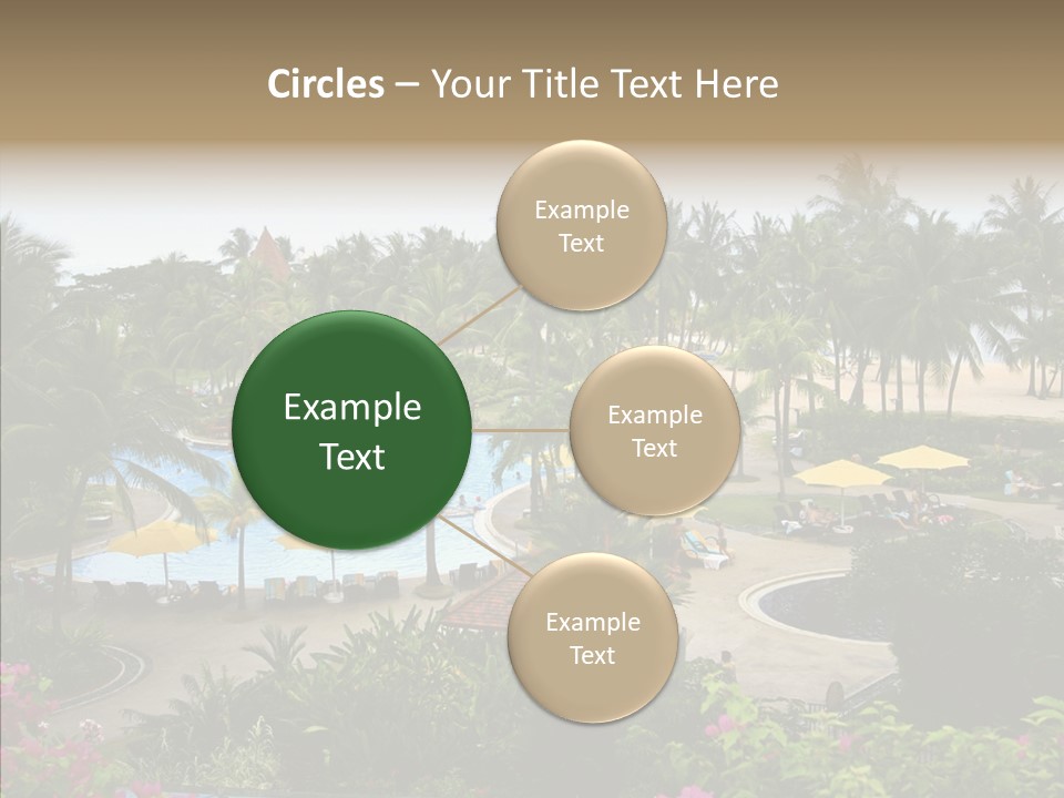 Equator Tree Investment PowerPoint Template