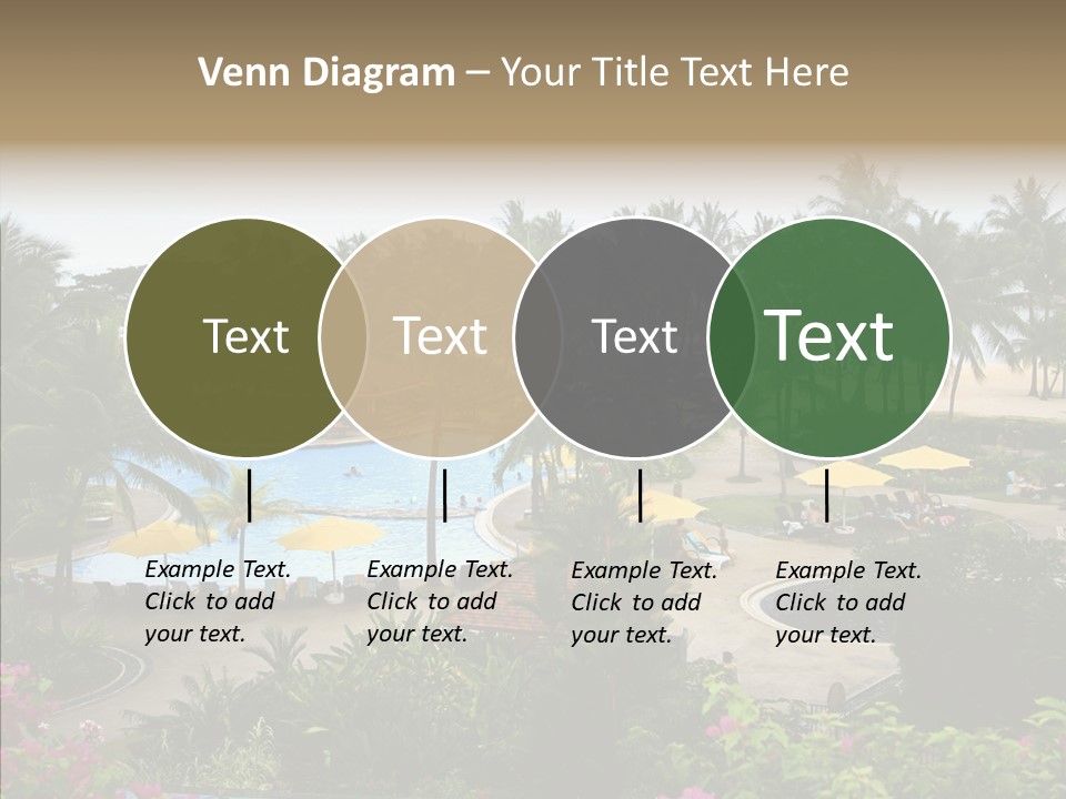 Equator Tree Investment PowerPoint Template
