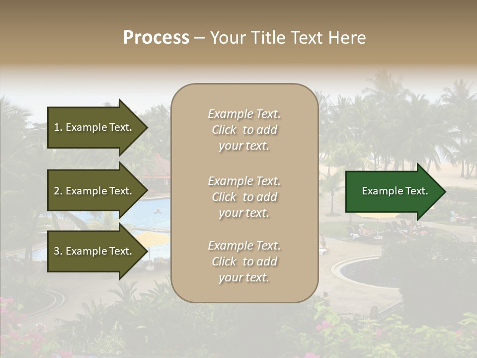 Equator Tree Investment PowerPoint Template