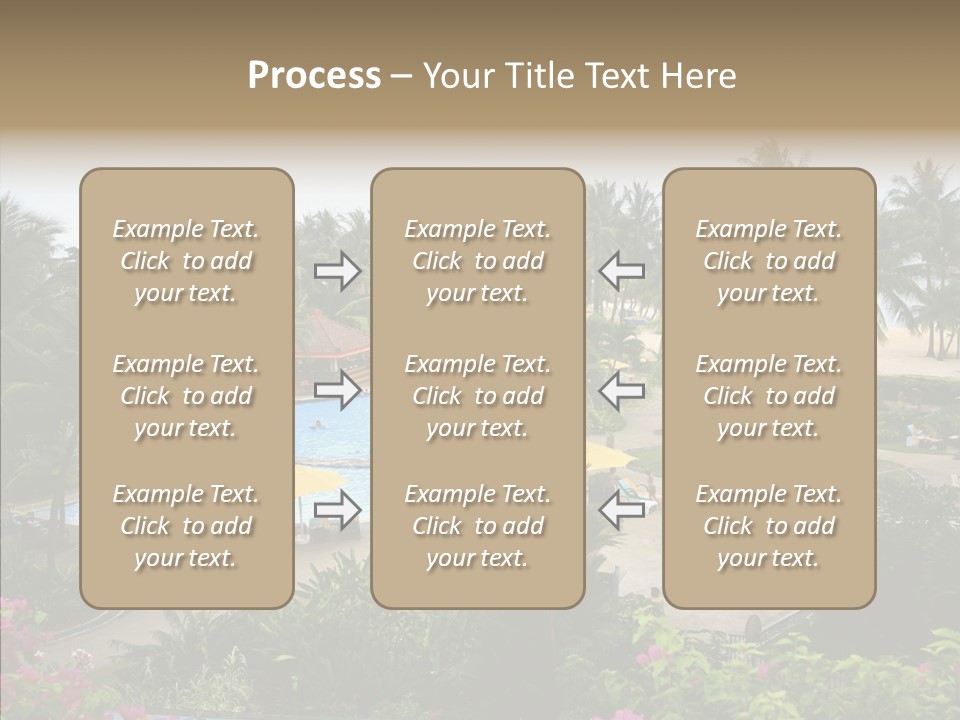 Equator Tree Investment PowerPoint Template