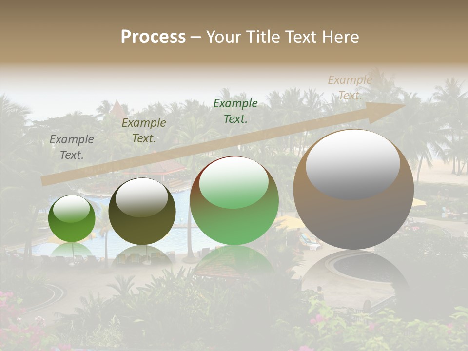 Equator Tree Investment PowerPoint Template