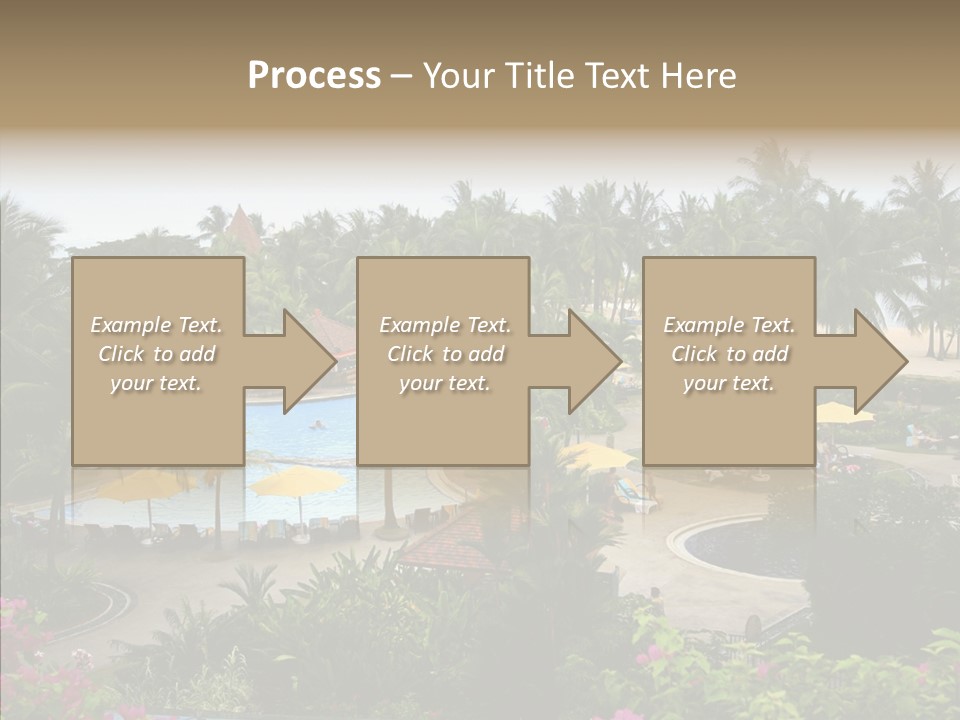 Equator Tree Investment PowerPoint Template