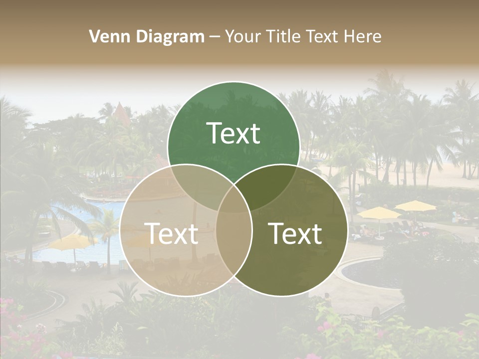 Equator Tree Investment PowerPoint Template