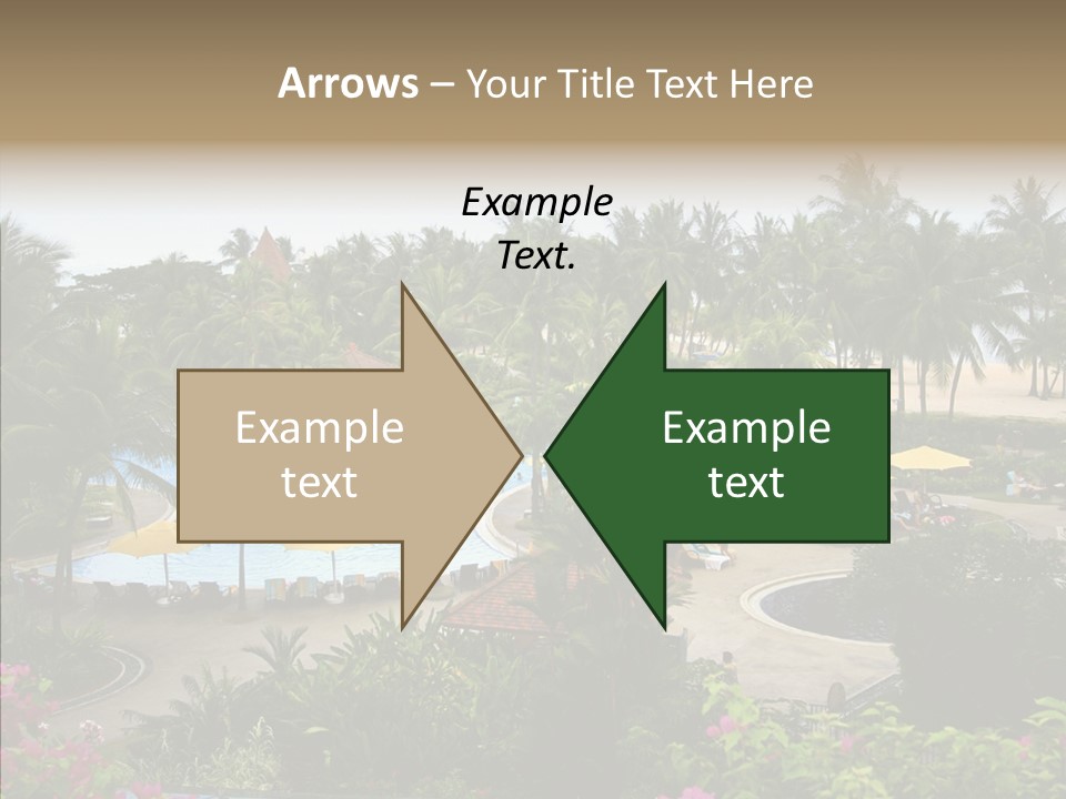 Equator Tree Investment PowerPoint Template