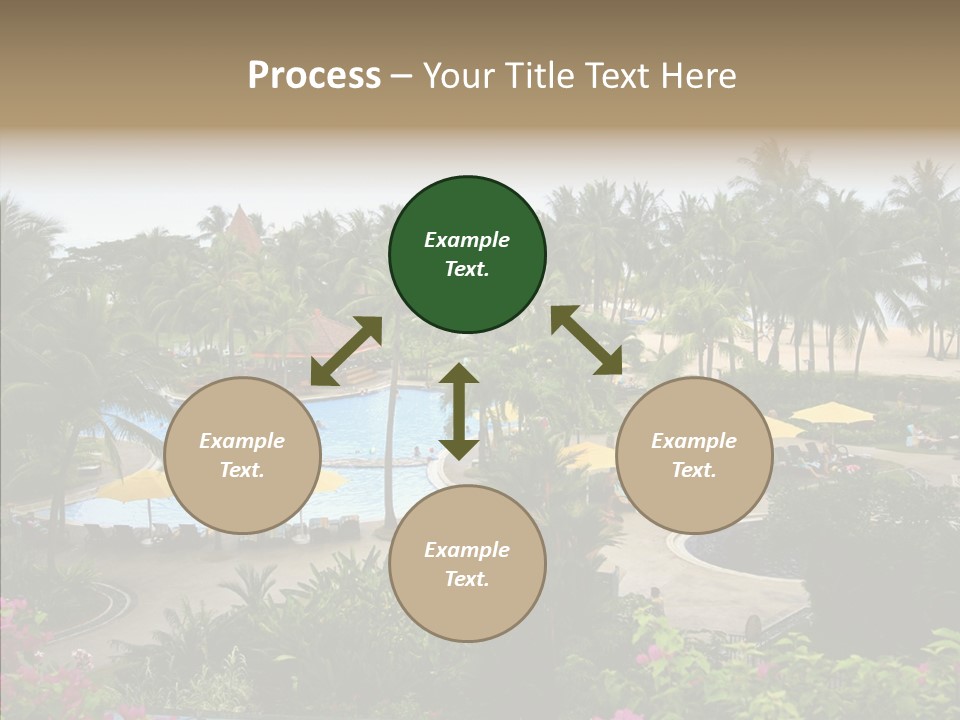 Equator Tree Investment PowerPoint Template