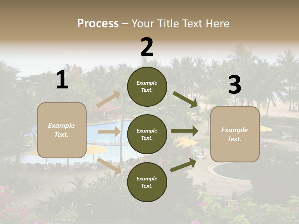 Equator Tree Investment PowerPoint Template
