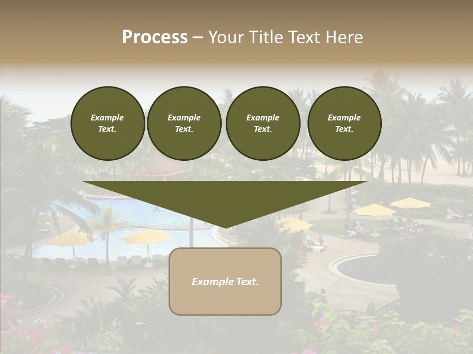 Equator Tree Investment PowerPoint Template